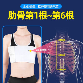 医用肋骨骨折固定带骨裂绑带胸部胸椎心脏搭桥手术康复开胸护胸带四季透气款l 图片价格品牌报价 京东