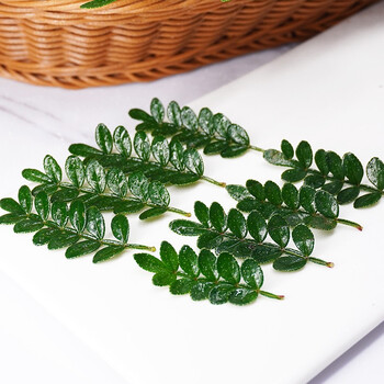 源外园顺丰 新鲜清香木甜品装饰蛋糕装饰用叶子西餐烘培装饰摆盘花草