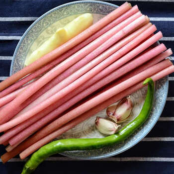 碧莲尼新鲜鸡头梗湖北特产水生蔬菜苞梗实梗刺梗鸡头苞梗芡实梗1000g