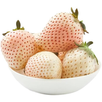 淡雪白草莓牛奶白雪公主草莓新鲜水果 淡雪草莓 500g
