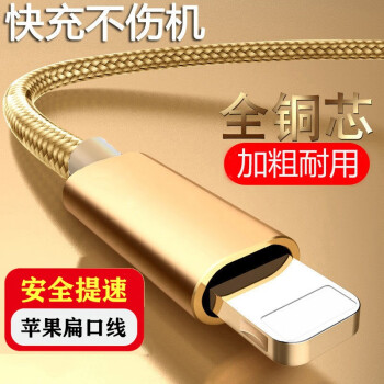 戴为数据线充电器线快充apple Iphone苹果lightning扁平板电脑苹果12 9英寸ipad Pro Wifi版 图片价格品牌报价 京东