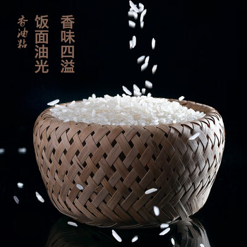 香油粘大米20斤油粘米新米广东马坝10kg长粒香米煲仔饭米