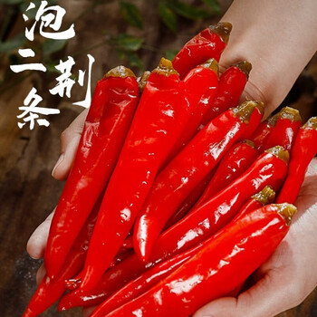 黔甲贞品 泡海椒灯笼椒 泡二荆条   泡椒小米辣椒 泡二荆条350g*1袋
