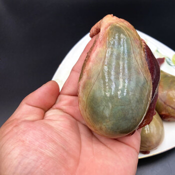 虎钢馋猪苦胆500g新鲜现宰农家土猪胆 食用鲜苦胆黑猪苦胆猪肉顺丰