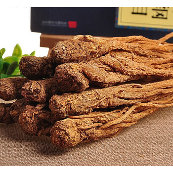 伟博 岷县特产当归个当归全当归个当归个子整条当归 500克