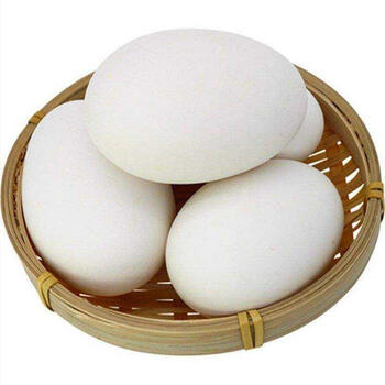 鹅蛋   农家散养大鹅蛋鹅蛋鲜鹅蛋受精蛋种蛋新鲜孕妇 24枚