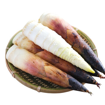 泽鲜达春笋 鲜甜新鲜现挖浙江竹笋天目山雷笋野生黄泥笋子 2斤装