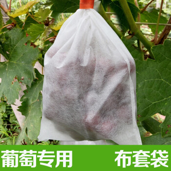 葡萄套袋专用无纺布防晒水虫鸟网袋子透气露天育水果保护袋定制做18cm