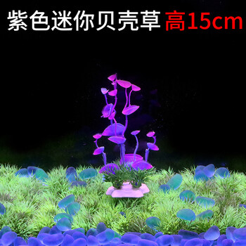 鱼缸造景塑料水草花水族箱装饰假水草仿真水草大荷花草坪摆件紫色迷你贝壳草 高15cm 图片价格品牌报价 京东