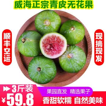 顺丰山东威海青皮无花果绿皮无花果新鲜无花果孕妇宝宝零食3斤特大果 约24个 图片价格品牌报价 京东