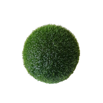 marimo海藻球微景观生态瓶鱼缸水培植物淡水球藻创意迷你水生植物