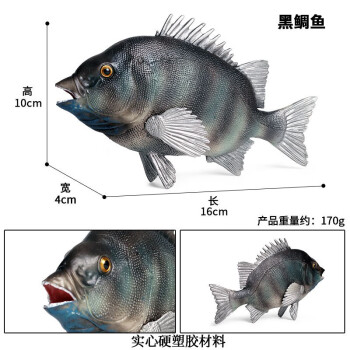 Oenux玩具鱼认物儿童假鱼仿真海洋淡水鱼模型动物三文食人金枪咸鱼水母 M-1281石绸鱼