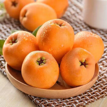 小博生鲜 重庆合川枇杷 大五星 应季新鲜水果 5斤特大果(50-100g)