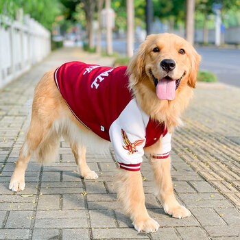 崇雾金毛棒球卫衣大狗狗衣服秋冬装拉布拉多边牧中大型犬冬季运动外套