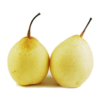 冰糖雪梨10斤河北赵县雪花梨赵州土特产新鲜梨子水果川贝雪梨 3斤