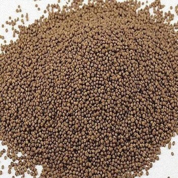 甲鱼苗中华鳖苗小甲鱼活体水鱼苗王八团鱼苗家养外塘养殖甲鱼饲料