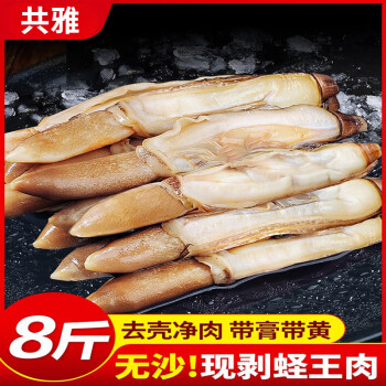 共雅熟冻去壳速冻蛏王肉大个冷冻蛏子肉海鲜水产鲜活圣王肉竹蛏肉贝类