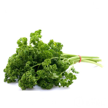 新鲜番西法国香芹荷兰欧芹西洋芹摆盘装饰用品500g新鲜蕃西蔬菜团建