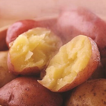 山野云涧云南高山新鲜红皮土豆 现挖红皮黄心土豆马铃薯洋芋 红土豆 小土豆5斤