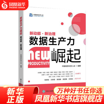 数据生产力崛起：新动能·新治理 凤凰新华书店旗舰店 kindle格式下载