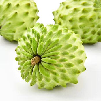 福建凤梨释迦(顺丰现摘)牛奶凤梨释迦果   番荔枝  林檎佛头大果