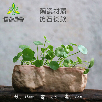 水培容器水养菖蒲铜钱草花盆多肉植物石头花盆创意花盆陶瓷盆无底孔 长款 中等 图片价格品牌报价 京东