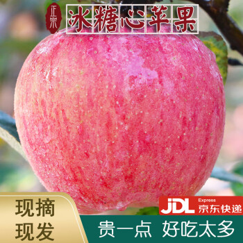 【JD快递】陕西红富士 脆甜冰糖心苹果 新鲜当季苹果 5/9斤 5斤
