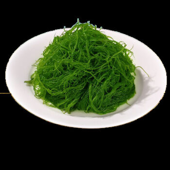 【天然海藻海草】福建龙须菜凉拌菜菜美食 绿色海藻菜2斤