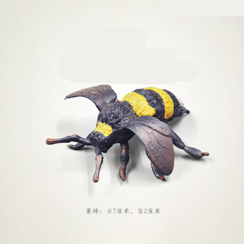 弗贝妮仿真昆虫模型 儿童玩具动物 蝴蝶蜜蜂蝎子蚱蜢螳螂蜻蜓蜘蛛