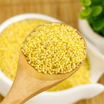 花仙笙gearss鲁村石碾小米5斤高叶酸山西晋城特产泽州黄小米农家