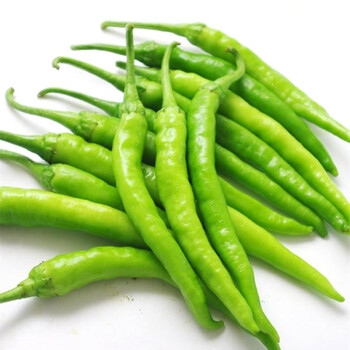 杭椒 新鲜杭州正宗 不辣的小尖椒 油焖食用青辣椒 3斤