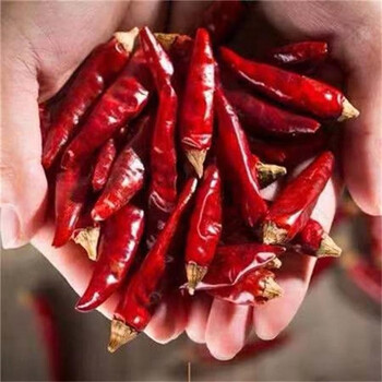 贵州满天星干辣椒特香特辣1斤小米辣辣特香超辣 500g 500g  500g