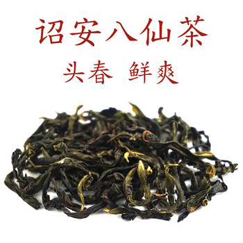 诏安八仙茶2021春茶头采鲜爽250g简散装黄旦土山茶叶富硒