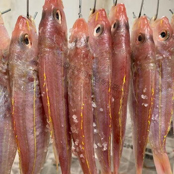 云舵鲜有志阳江特产一夜埕咸鱼金线鱼刀鲤鱼红衫鱼去除鱼鳞鱼鳃内脏啖