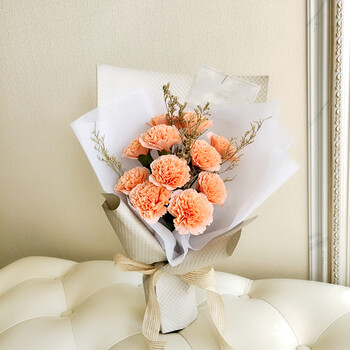 纸藤花皱纹纸diy纸花母亲教师节手工纸艺康乃馨花束材料包 香槟 [材料