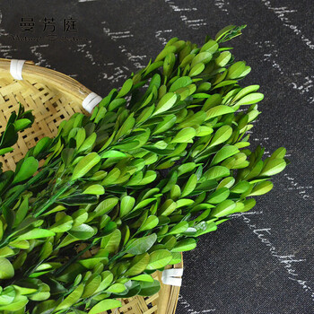 鲜花永生花花束 七夕花情人节干花花束装饰叶子厂家直营 原色(1克)