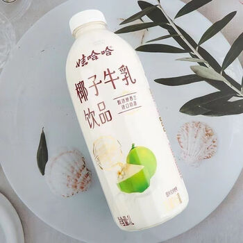 食怀新品品尝娃哈哈椰子牛乳升装酒席餐饮酒店饮品家庭瓶装牛奶1升