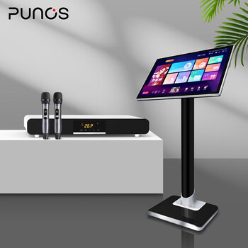 punos(普诺斯)高清点歌机ktv音响套装家庭影院家用卡拉ok双系统一体式