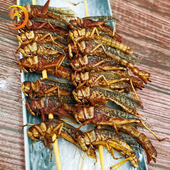 俏滋郎蚂蚱串烧烤串油炸食材蝗虫串冷冻半成品家庭商用网红小吃3包 1
