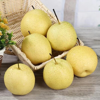 青尊园新疆天山雪梨水分足新鲜脆甜多汁冰糖梨子贡梨孕妇水果 5斤
