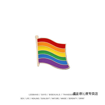 六色彩虹旗胸針徽章米奇love同志lgbt飾品愛心旗幟標 彩虹旗 (收藏加