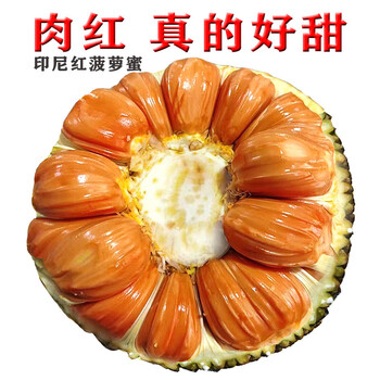 正宗进口印尼红肉菠萝蜜稀有红色果肉干包一整个木菠萝生鲜水果125