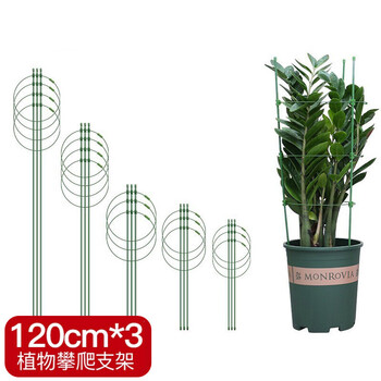 恰好时光植物攀爬支架 恰好时光植物爬藤支架花盆攀爬花架子支撑架蔷薇月季葡萄固定支柱防倒固定架子爬藤架1cm套装 3园艺支架 行情报价价格评测 京东