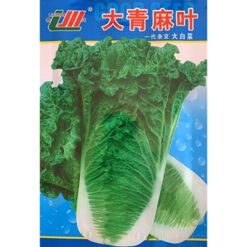 天津青麻葉種籽青口白大白菜長筒綠白菜春夏秋冬四季播蔬菜種孑子