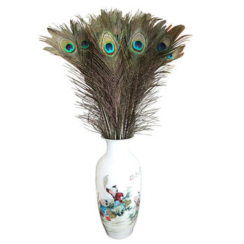 艺莉黛博拉孔雀尾羽孔雀羽毛婚庆孔雀翎尾天然孔雀毛70-120cm多数量精