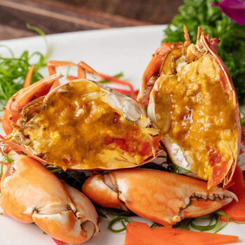 黄油蟹正宗广东南沙一级黄油蟹膏蟹肉蟹青蟹鲜活海鲜水产另有特大 一