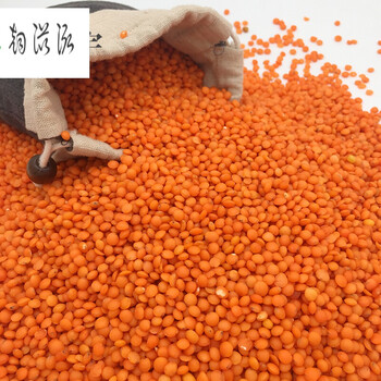 虎钢馋红小扁豆番茄红扁豆250g当年新豆马粟豆土耳其扁豆子红扁豆杂粮