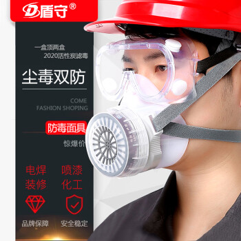 盾守 防毒面具 防尘面罩 防毒口罩 猪鼻子面具 喷漆生化工业粉尘过滤口鼻面罩 防雾霾PM2.5 2010橡胶面具+30片棉+大礼包