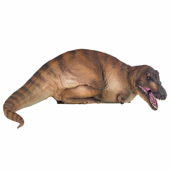 pnso霸王龙安德莉亚恐龙博物馆1比35科学艺术模型