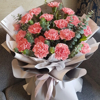 钰尚嘉兴康乃馨香水百合混搭花束鲜花速递南湖嘉善平湖同城生日送花店 33朵粉色康乃馨花束 图片价格品牌报价 京东
